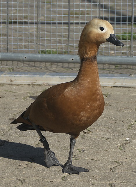 三年后