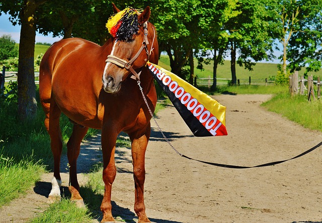 在这样的情 在这样的情