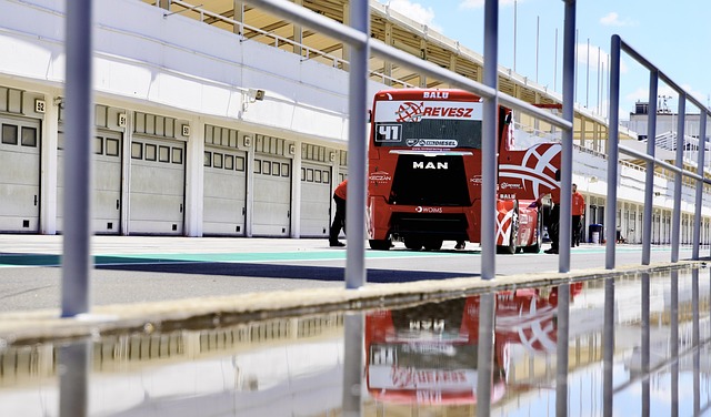 引领更多年 引领更多年