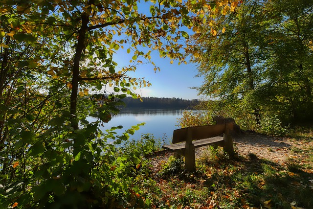 侧向移动训 侧向移动训