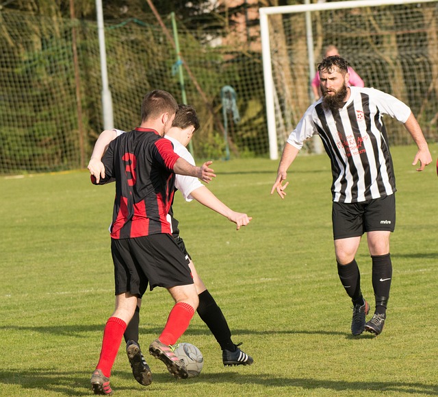 析這位掌舵 析這位掌舵