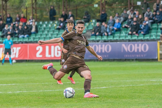 的优劣势 的优劣势