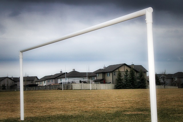 期待看到曼 期待看到曼