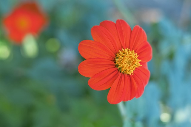 冠军级别 冠军级别