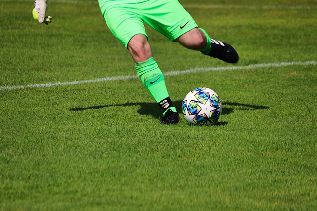 的个人技能 的个人技能